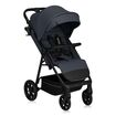 Carucior sport, Lionelo, Iva, Pana la 22 kg, 6 luni+, Gri, Culoare: Gri, Model: sport