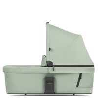 Landou Pine Abc Design, Culoare: Verde  - ExclusivMAG.ro