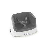 Ingenuity – Booster Toddler Slate  - ExclusivMAG.ro