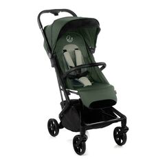 Carucior sport, Jane, Wing, De la nastere pana la 22 Kg, Conform cu standardul european EN 1888-1:2018+A1:2022, Botanic  - ExclusivMAG.ro