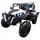 Masinuta electrica cu telecomanda 4 X 4 Buggy X9 R-Sport - Alb, Culoare: Alb