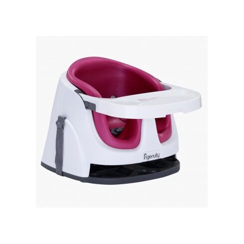 Scaun de masa 2 in 1 Pink Flambe - Bright Starts