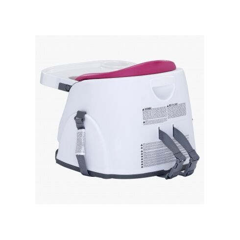 Scaun de masa 2 in 1 Pink Flambe - Bright Starts,poza 2