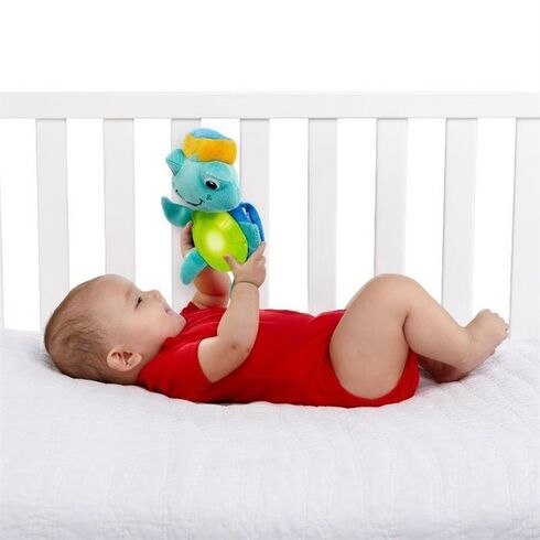 Salteluta Joaca Experienta In Recif Baby Einstein,poza 5