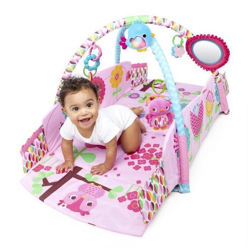Bright Starts - Salteluta de joaca 5 in 1 Sweet Songbirds - poza 5 - ExclusivMAG.ro