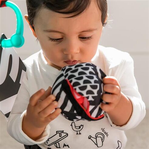 Salteluta de activitati Bold New World Baby Einstein,poza 9