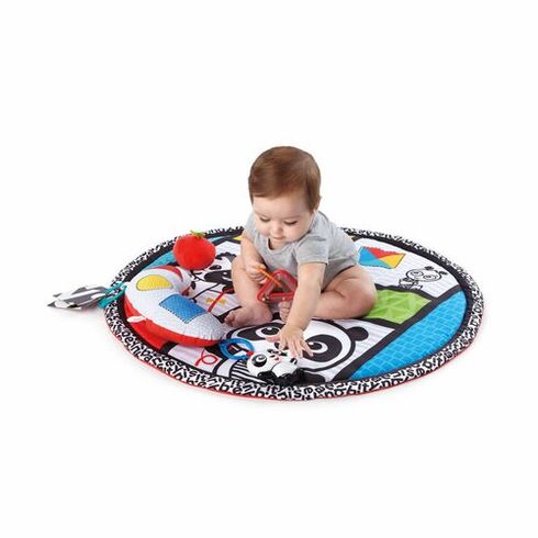 Salteluta de activitati Bold New World Baby Einstein,poza 3