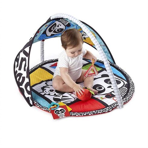 Salteluta de activitati Bold New World Baby Einstein,poza 2