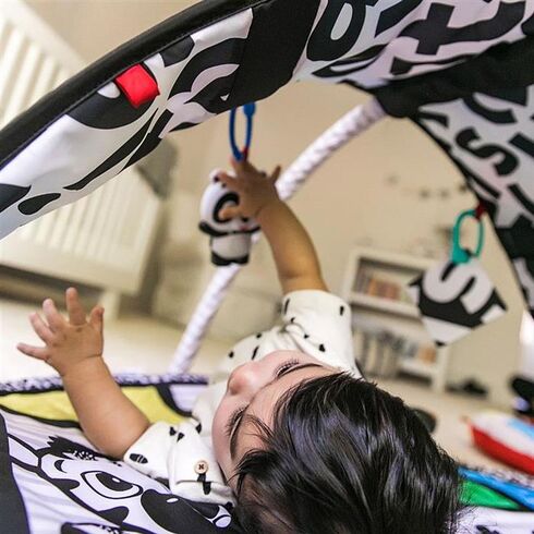 Salteluta de activitati Bold New World Baby Einstein,poza 8