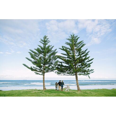 Carucior 2 in 1, Greentom, 100% Ecologic, White Red, Culoare: Rosu,poza 3