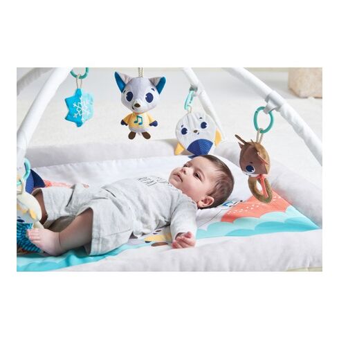 Centru de joaca din plus, Tiny Love Gymini, Polar Wonders,poza 3