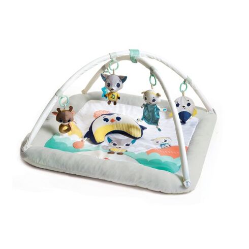 Centru de joaca din plus, Tiny Love Gymini, Polar Wonders