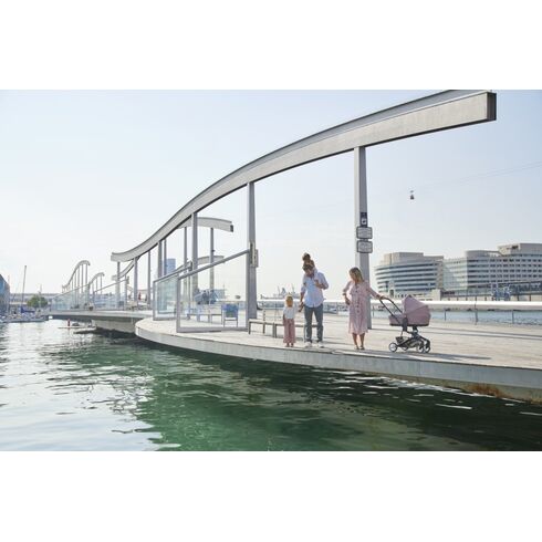 Carucior Easywalker Charley Desert Pink, Culoare: Roz,poza 8