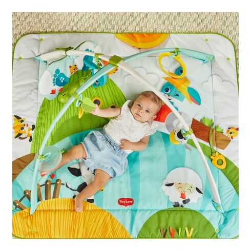 Centru de joaca cu salteluta Tiny Love Gymini Loveste si Canta, Ferma, 0 luni plus, Multicolor,poza 8