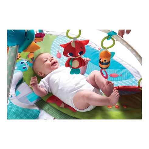 Centru de joaca Meadow Days, Dynamic Gymini, Tiny Love,poza 8