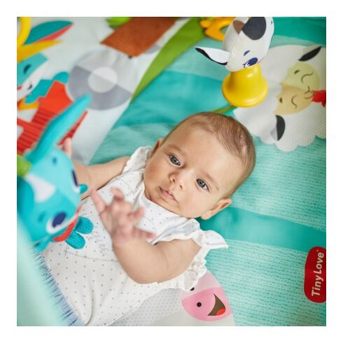 Centru de joaca cu salteluta Tiny Love Gymini Loveste si Canta, Ferma, 0 luni plus, Multicolor,poza 9