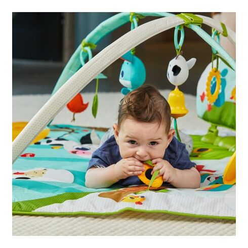 Centru de joaca cu salteluta Tiny Love Gymini Loveste si Canta, Ferma, 0 luni plus, Multicolor,poza 7