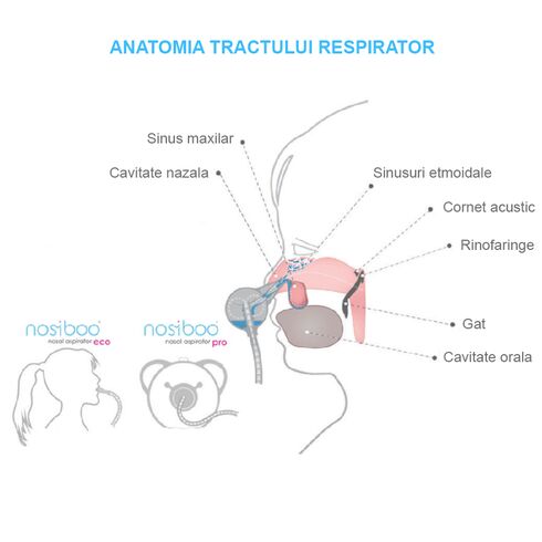Aspirator nazal electric Nosiboo Pro2 Roz, Culoare: Roz,poza 4
