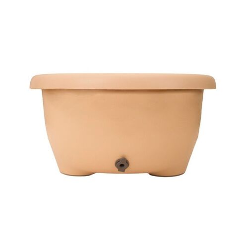 Cadita de Baie cu Suport si Capac Catelus Crem - Prince Lionheart, Culoare: Crem,poza 4