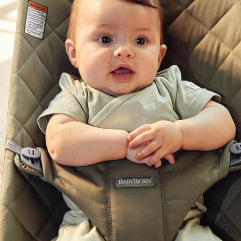 BabyBjorn - Balansoar Bliss Dark Green din tesatura matlasata cu aspect Clasic, Culoare: Verde inchis,poza 6