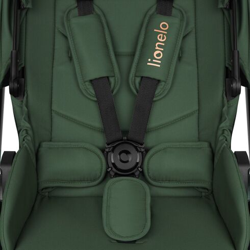 Carucior 2 in 1, Lionelo, Layla, Pana la 22 kg, Verde, Culoare: Verde, Model: 2 in 1,poza 10