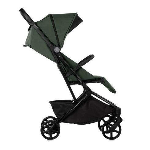 Carucior sport, Jane, Wing, De la nastere pana la 22 Kg, Conform cu standardul european EN 1888-1:2018+A1:2022, Botanic,poza 2