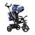 Lionelo - Tricicleta multifunctionala cu sezut reversibil, pliabila, Haari, Blue Navy, Culoare: Multicolor