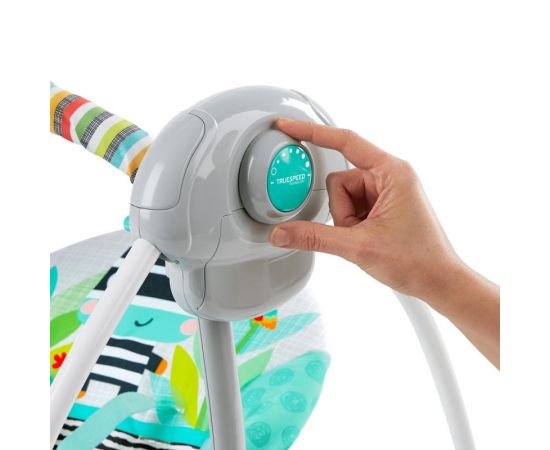 Leagan portabil Swing Zig Zag Zebra Bright Starts,poza 5