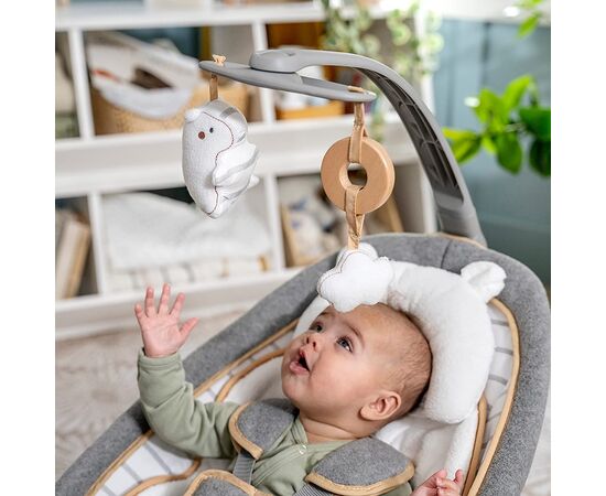 Balansoar 2 in 1 Bella Teddy Ingenuity,poza 2