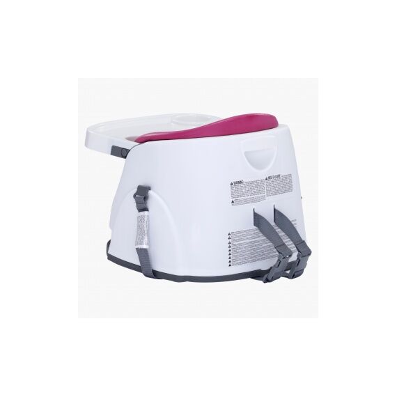 Scaun de masa 2 in 1 Pink Flambe - Bright Starts - poza 2 - ExclusivMAG.ro