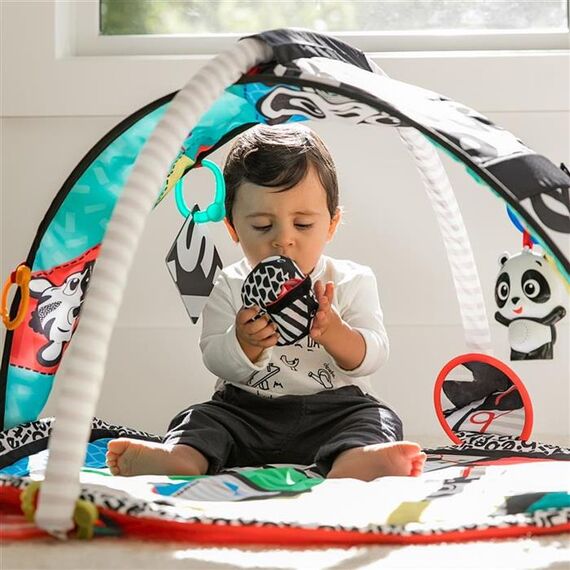 Salteluta de activitati Bold New World Baby Einstein - poza 5 - ExclusivMAG.ro