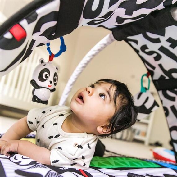 Salteluta de activitati Bold New World Baby Einstein - poza 7 - ExclusivMAG.ro