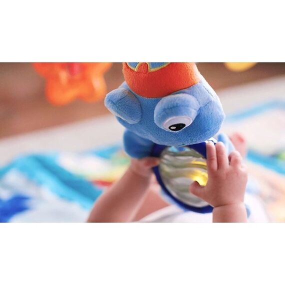 Salteluta de activitati Baby Einstein Discovery Seas Baby Einstein - poza 6 - ExclusivMAG.ro