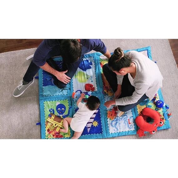 Salteluta de activitati Baby Einstein Discovery Seas Baby Einstein - poza 4 - ExclusivMAG.ro