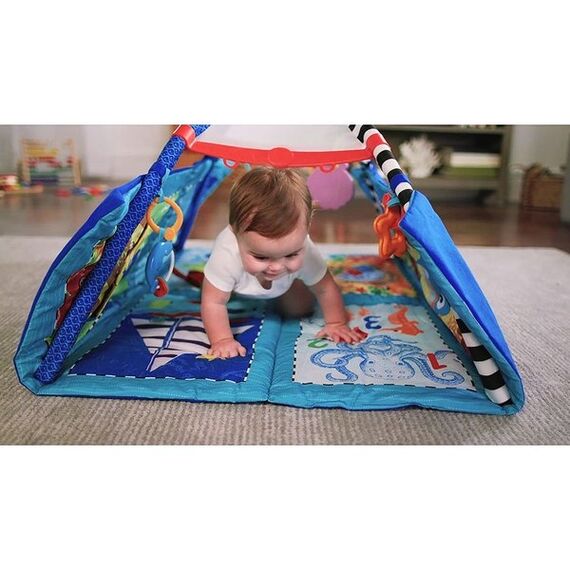 Salteluta de activitati Baby Einstein Discovery Seas Baby Einstein - poza 3 - ExclusivMAG.ro