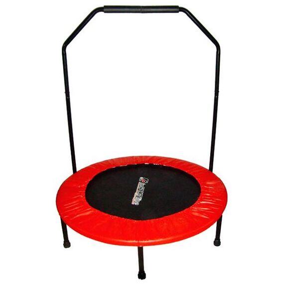 Trambulina Mini Bamby 97 cm - inSPORTline  - ExclusivMAG.ro