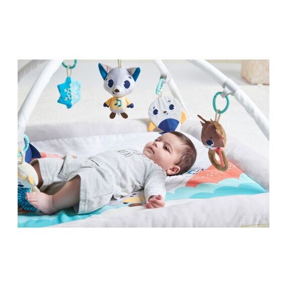 Centru de joaca din plus, Tiny Love Gymini, Polar Wonders - poza 3 - ExclusivMAG.ro