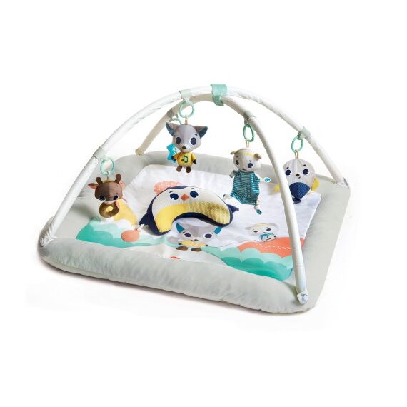 Centru de joaca din plus, Tiny Love Gymini, Polar Wonders  - ExclusivMAG.ro