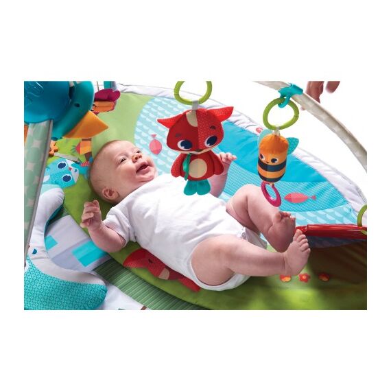 Centru de joaca Meadow Days, Dynamic Gymini, Tiny Love - poza 8 - ExclusivMAG.ro