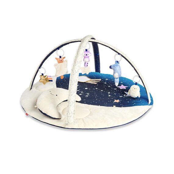 Skip Hop - Salteluta de activitati Vise placute  - ExclusivMAG.ro