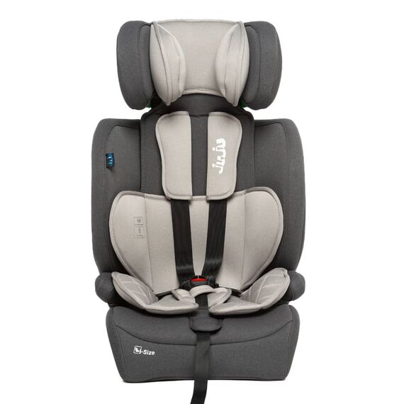 Scaun Auto Juju Pro Rider i-Size, Gri, Culoare: Gri, Grupa: 9-36kg (9 luni - 12 ani) - poza 3 - ExclusivMAG.ro