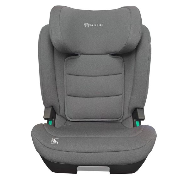 Scaun auto Appekids, I-SIZE, 100 -150 cm, Q-Fix - Grey, Culoare: Gri, Grupa: 15-36kg (4 ani - 12 ani) - poza 3 - ExclusivMAG.ro