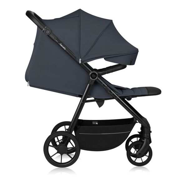 Carucior sport, Lionelo, Iva, Pana la 22 kg, 6 luni+, Gri, Culoare: Gri, Model: sport - poza 5 - ExclusivMAG.ro