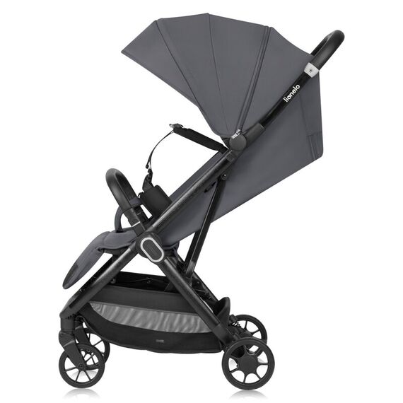Carucior sport, Lionelo, Bess, Pana la 22 kg, 6 luni+, Gri, Culoare: Gri, Model: sport - poza 3 - ExclusivMAG.ro