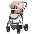 Carucior Chipolino Terra 2 in 1 rose pink