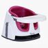 Scaun de masa 2 in 1 Pink Flambe - Bright Starts