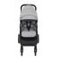 Carucior Joie Evalite Duo Gray Flannel - poza 5 - ExclusivMAG.ro