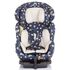 Scaun auto Isofix Chipolino Campo 0-36 kg dots beige, Culoare: Crem, Grupa: 0-36kg (0 luni - 12 ani),poza 2