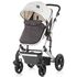 Carucior Chipolino Terra 2 in 1 creme,poza 7