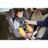Scaun auto Nuna REBL PLUS 360° i-Size Aspen, nastere - 105 cm - poza 6 - ExclusivMAG.ro